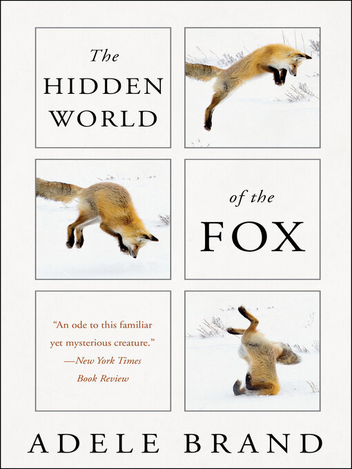 Title details for The Hidden World of the Fox by Adele Brand - Wait list